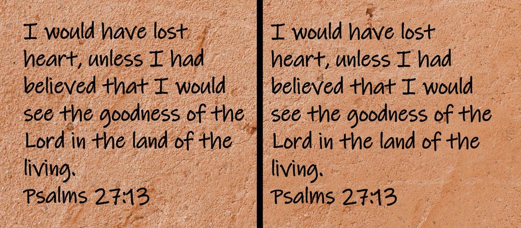 I would have lost heart, unless I had believed that I would see the goodness of the Lord in the land of the living. Psalms 27:13