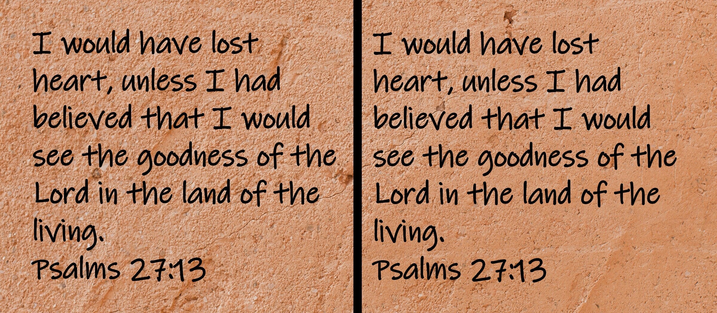 I would have lost heart, unless I had believed that I would see the goodness of the Lord in the land of the living. Psalms 27:13