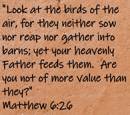 "Look at the birds of the air, for they neither sow nor reap nor gather into barns; yet your heavenly Father feeds them. Are you not of more value than they?"  Matthew 6:26