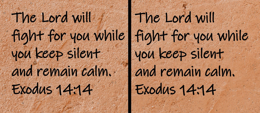 The Lord will fight for you while you keep silent and remain calm. Exodus 14:14