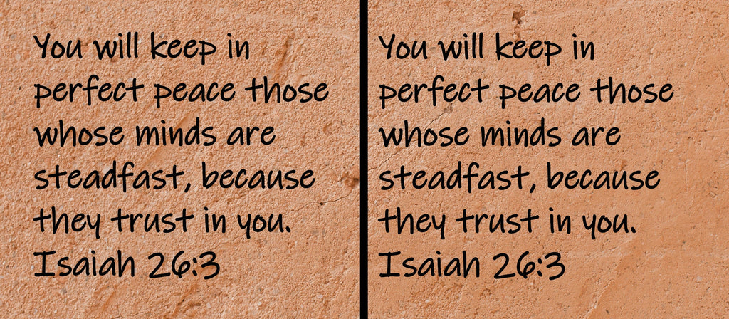 You will keep in perfect peace those whose minds are steadfast, because they trust you.  Isaiah 26:3
