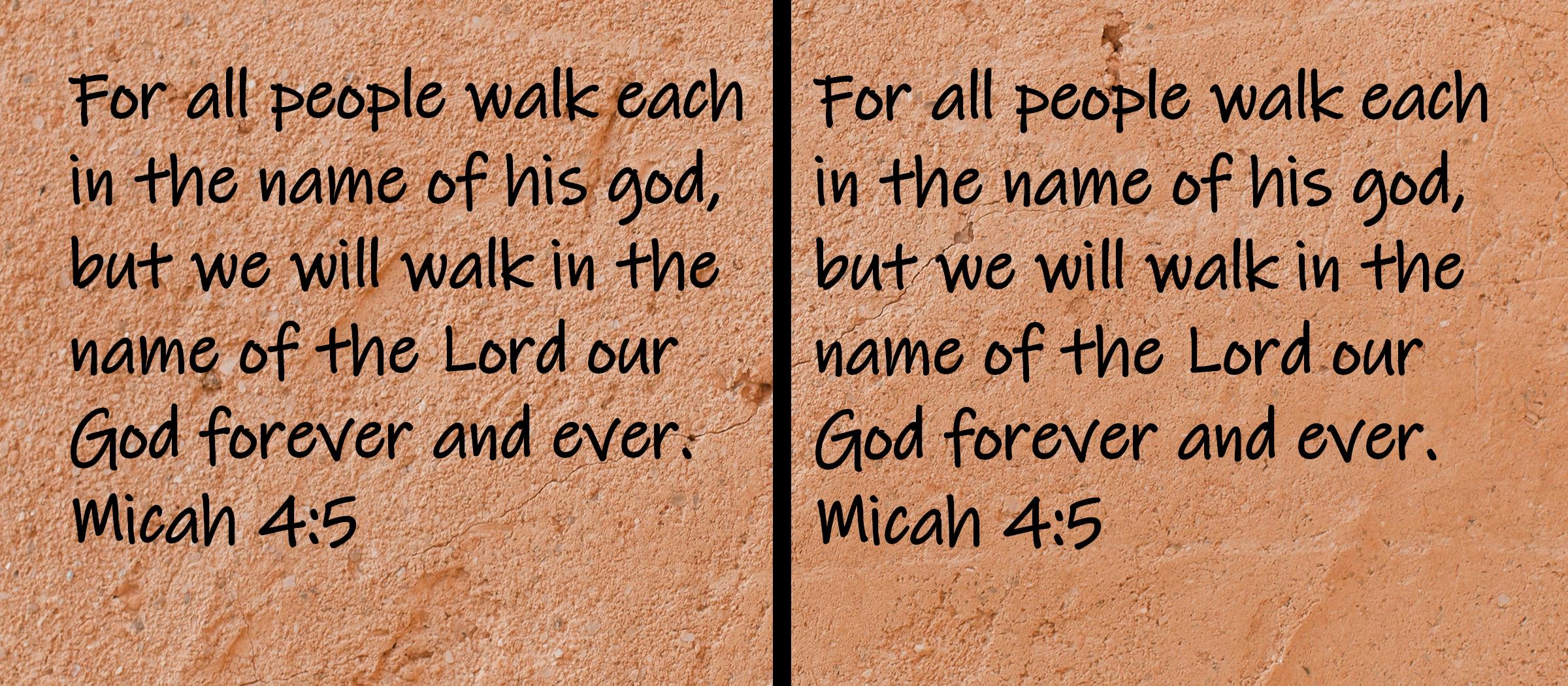 For all people walk each in the name of his god, but we will walk in the name of the Lord our God forever and ever.  Micah 4:5