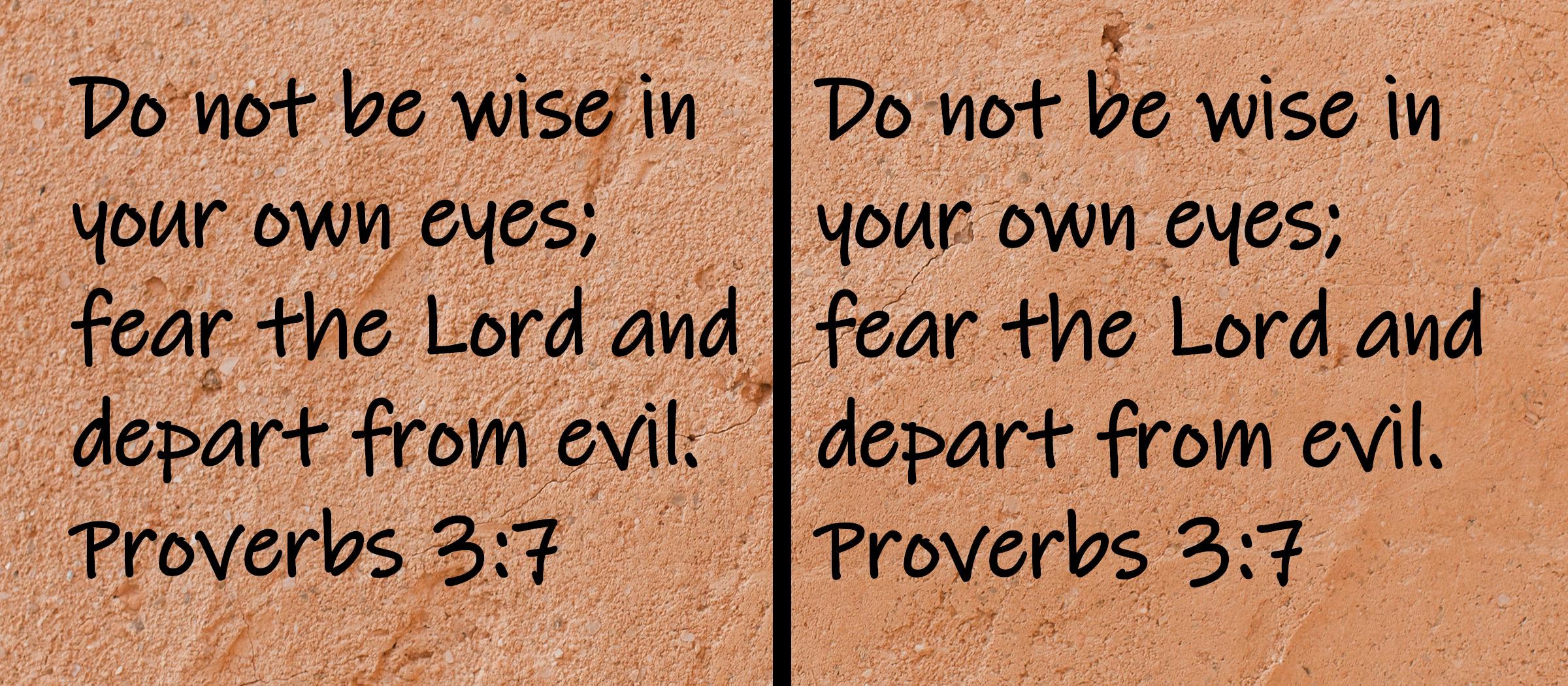Do no be wise in your own eyes; fear the Lord and depart from evil.  Proverbs 3:7