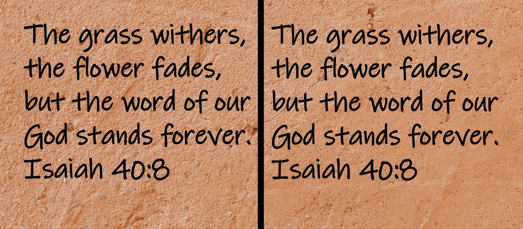 The grass withers, the flower fades, but the word of our God stands forever.  Isaiah 40:8