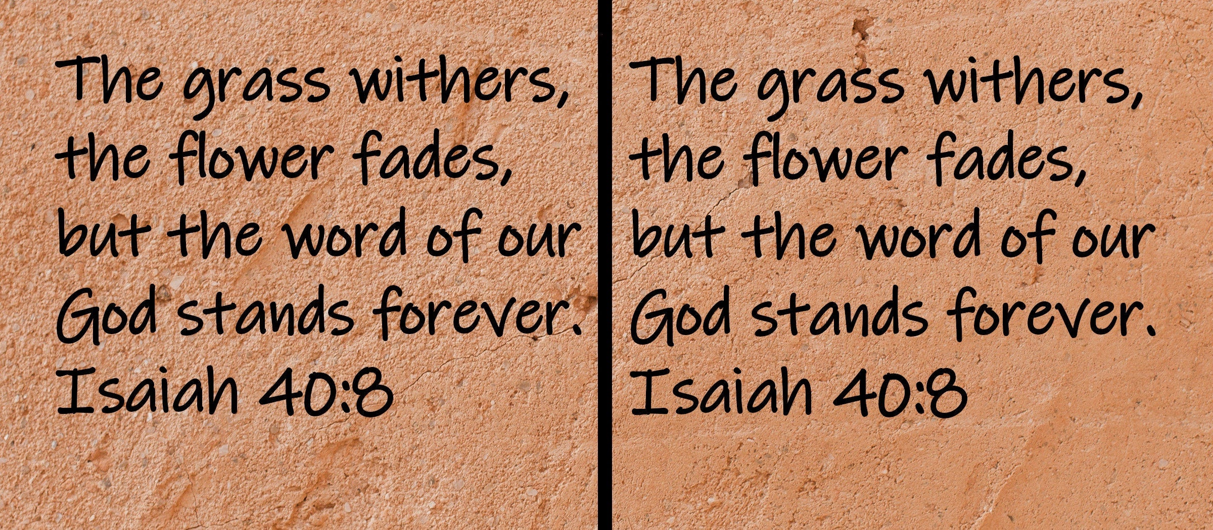 The grass withers, the flower fades, but the word of our God stands forever.  Isaiah 40:8