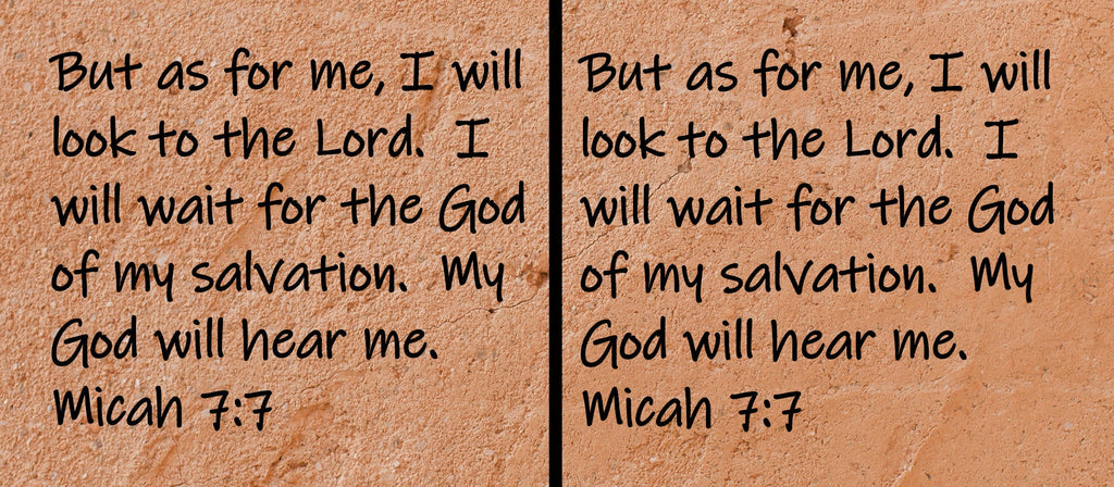 But as for me, I will look to the Lord. I will wait for the God of my salvation. My God will hear me.  Micah 7:7