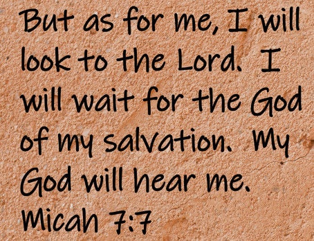 But as for me, I will look to the Lord. I will wait for the God of my salvation. My God will hear me.  Micah 7:7