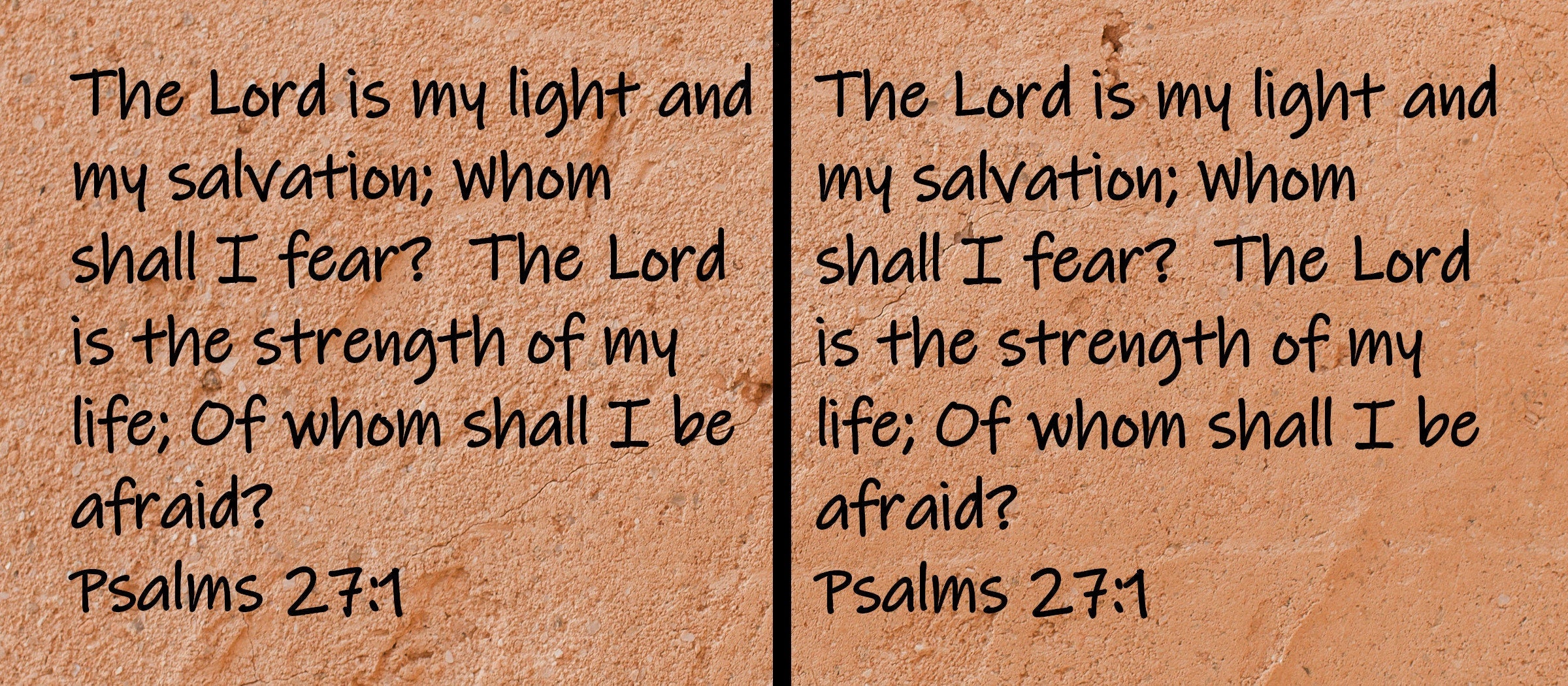 The Lord is my light and my salvation; whom shall I fear? The lord is the strength of my life; of whom shall I be afraid?  Psalms 27:1
