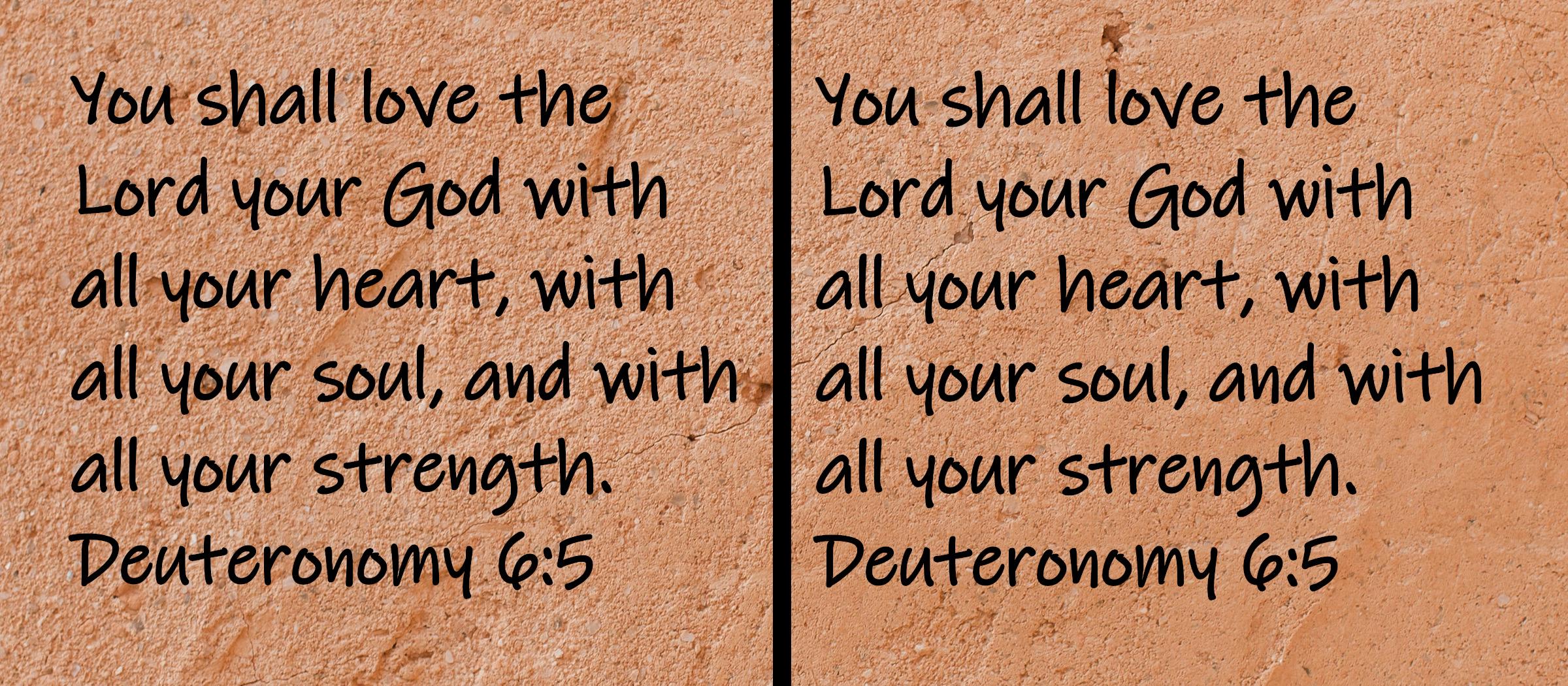 You shall love the Lord your God with all your heart, with all your soul, and with all your strength.  Deuteronomy 6:5