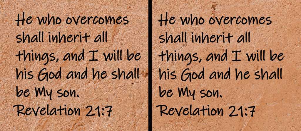 He who overcomes shall inherit all things, and I will be his God and he shall be My son.  Revelation 21.7
