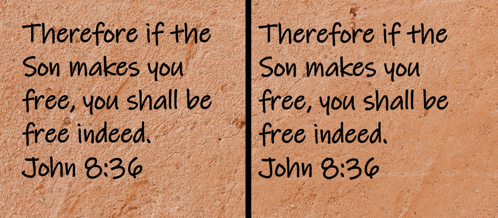 Therefore if the Son makes you free, you shall be free indeed.  John 8:36