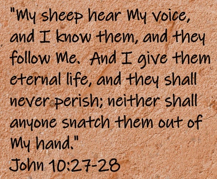 My sheep hear My voice, and I know them, and they followe Me.  And I give them eternal life, and they shall never parish; and they shall...