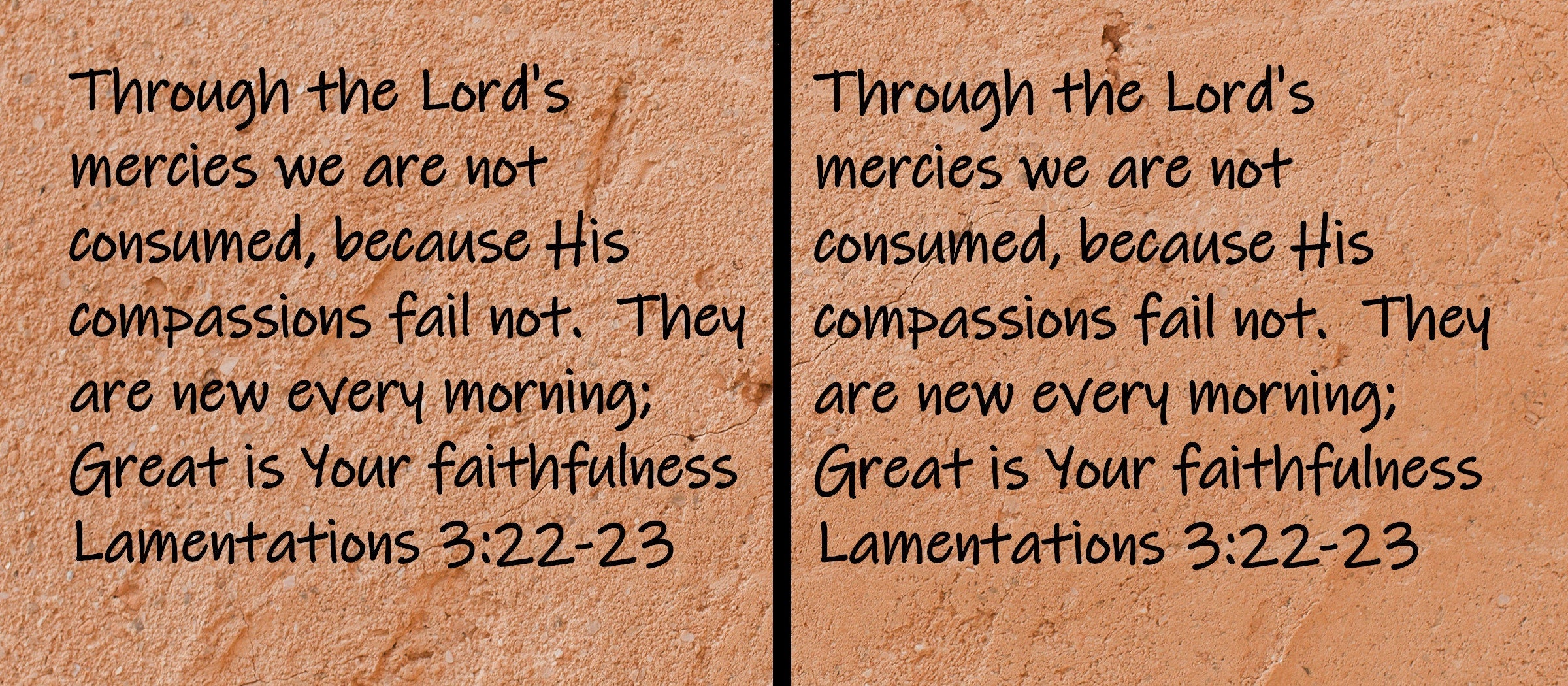Through the Lord's mercies we are not consumed, because His compassions fail not. They are new every morning; Great is Your faithfulness.  Lamentations 3:22-23