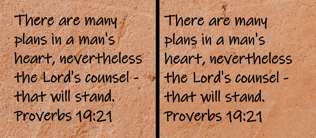 There are many plans in a man's heart, nevertheless the Lord's counsel - that will stand.  Proverbs 19:21